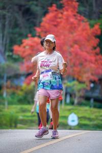 BIB: 8076
                            <button type="button" onclick="openModal(19240076)" class="btn btn-primary btn-sm float-right btn-popup" data-toggle="modal" data-target=".modal-high-quality">
                        <i class="fas fa-shopping-cart"></i> Add to Cart
                    </button>
                                            <button type="button" onclick="isThisMe(19240076, true)" class="btn btn-success btn-sm float-right btn-popup btn-isme hidden" data-toggle="tooltip" data-placement="bottom" title="นี่คือรูปของคุณใช่ไหม คลิกที่นี่เพื่อเอาเข้าอัลบั้ม">
                        <i class="fas fa-plus"></i> Add to album
                    </button>
                    <button type="button" onclick="isThisMe(19240076, false)" class="btn btn-warning btn-sm float-right btn-popup btn-isnotme hidden">
                        <i class="fas fa-ban"></i> Remove from album
                    </button>